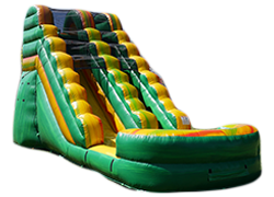 Wild Amazon Waterslide Wild Amazon Waterslide