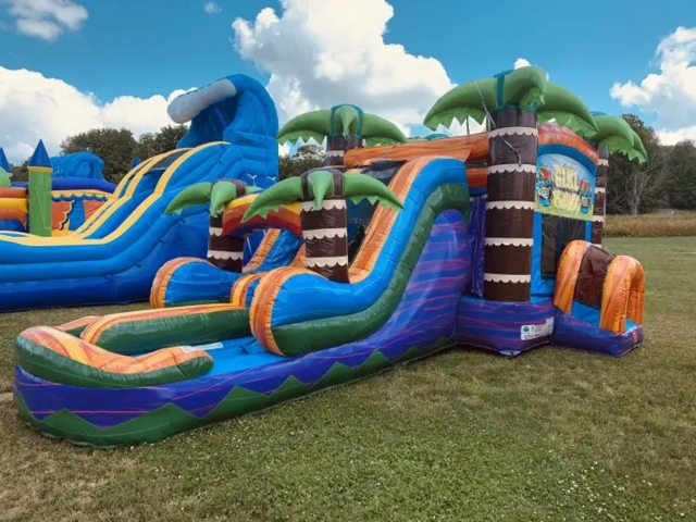 5 N 1 Tiki Plunge Dual Lane Combo Wet/Dry 5 N 1 Tiki Plunge Dual Lane Combo Wet/Dry
