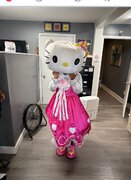 HELLO KITTY FITS SMALL TO MEDIUM 5'2 TO 5'5