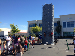 Rock Wall