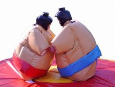 Sumo Wrestling