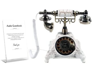 Audio Guest Book - Antique Phone