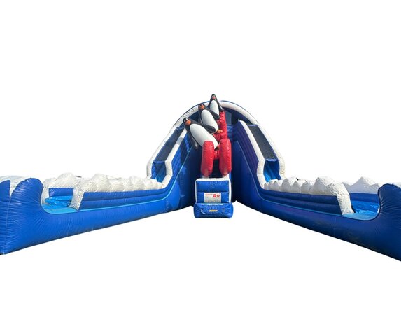 Penguin Plunge Double-Lane Dry Slide Penguin Plunge Double-Lane Dry Slide