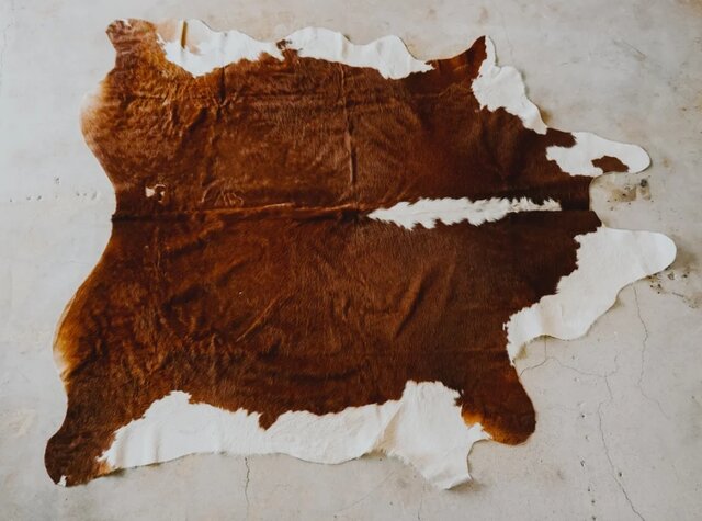 Cowhide Rug Cowhide Rug