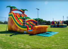 18 ft dual lane Dry Slide