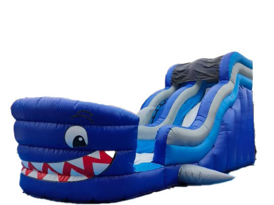 Shark Attack Shark Attack