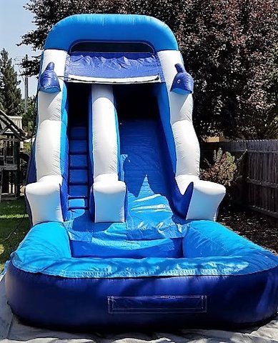 Dolphin Water Slide Dolphin Water Slide