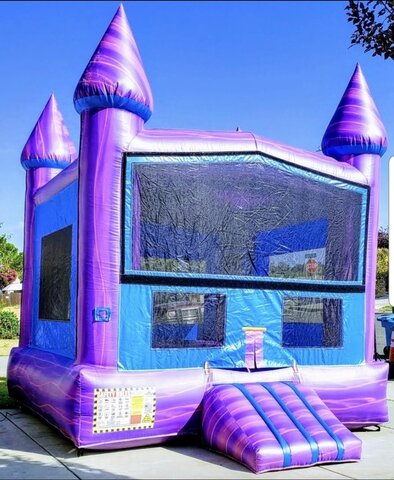 Purple Crush Bounce House Purple Crush Bounce House