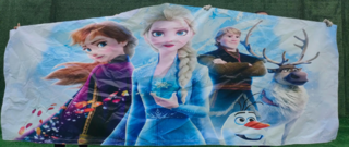 Frozen Banner  Frozen Banner