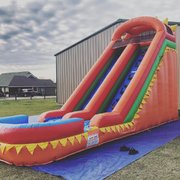 Fun in the Sun Fun in the Sun