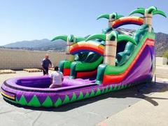 18' Tropical Water Slide w/Pool 18' Tropical Water Slide w/Pool
