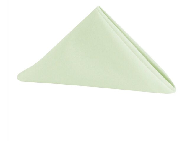 Sage Green Polyester Table Napkins 20 x 20 Sage Green Polyester Table Napkins 20 x 20