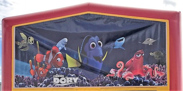 Dory and Nemo Small Combo Dory and Nemo Small Combo