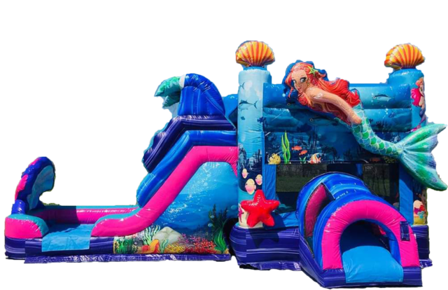 Parks - Mermaid Slide