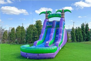 16' Purple Tropical Water Slide with Attached Pool