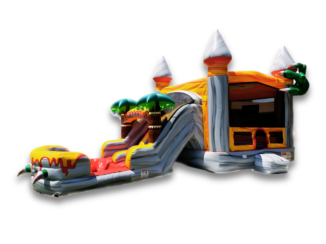 Dino Dual Lane Dry Slide Dino Dual Lane Dry Slide