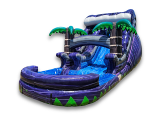 Purple Palm Waterslide