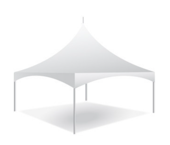 20 x 20 Canopy 20 x 20 Canopy