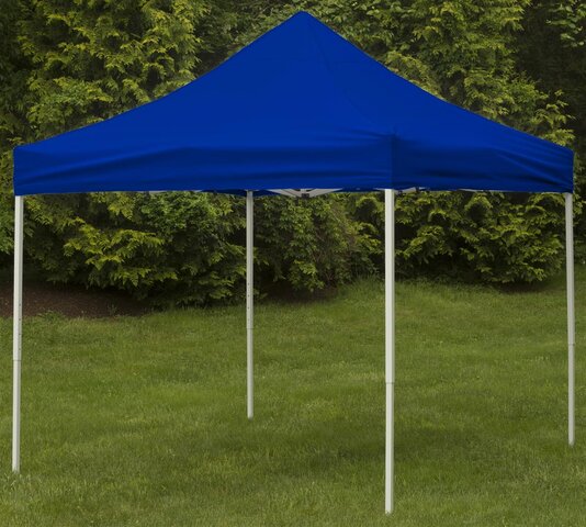 10' X 10' Blue Canopy 10' X 10' Blue Canopy