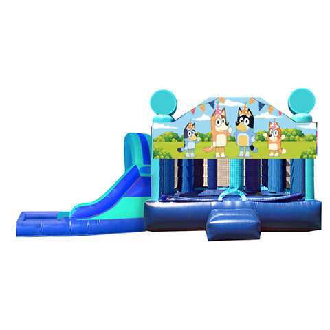 L&S - BLUEY 16x32 L&S - BLUEY 16x32