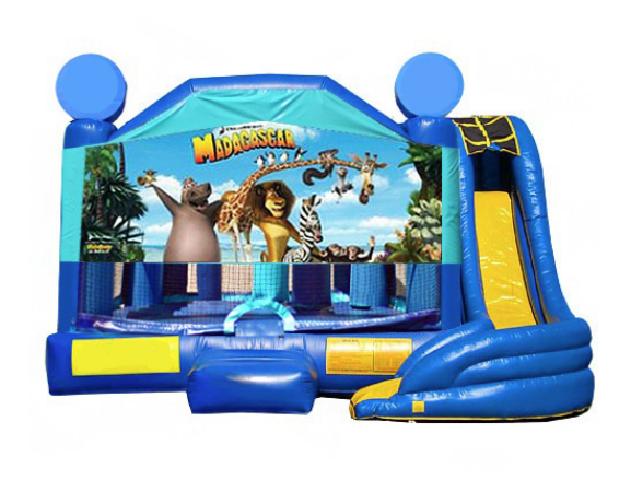 5 in 1 Obstacle Combo - Madagascar Window 20x20x17 5 in 1 Obstacle Combo - Madagascar Window 20x20x17