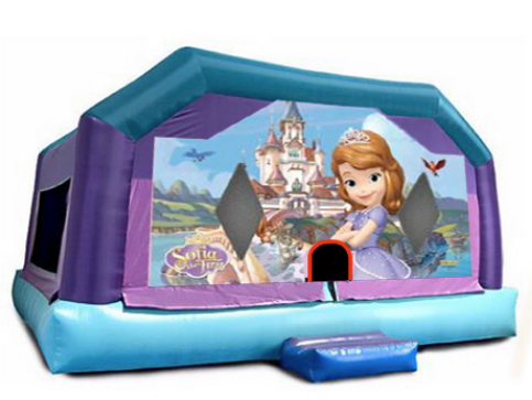 Gigantic Jump - Sophia #1 20x20x17 Gigantic Jump - Sophia #1 20x20x17