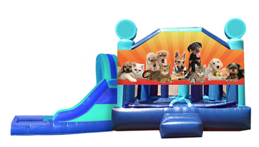 L&S - Puppies & Kittens Window 32x17x17 L&S - Puppies & Kittens Window 32x17x17