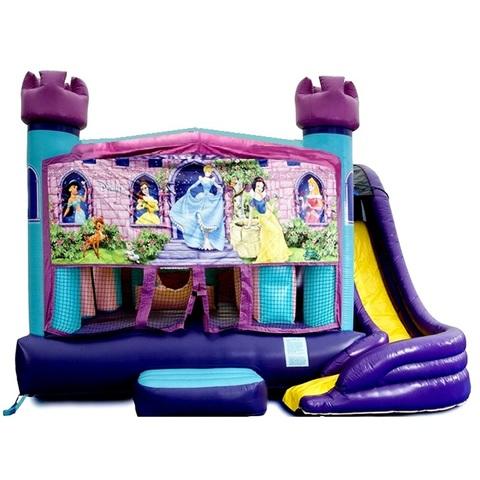 Princess Theme Combo Slide (water slide or dry slide)
