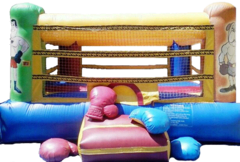 BR1 - 15x15 Boxing Ring with Gloves