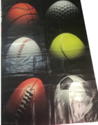 Castle sports banner Castle sports banner