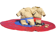 SW1 - Sumo Wrestling