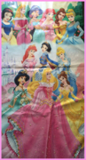 Castle Princess banner Castle Princess banner