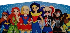 Superhero Girls Modular banner