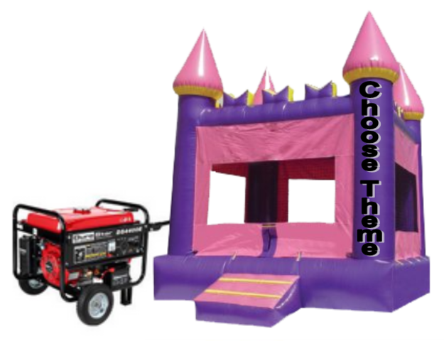 Park Package Purple Castle Jump House with Generator
