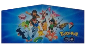 Modular Pokemon banner