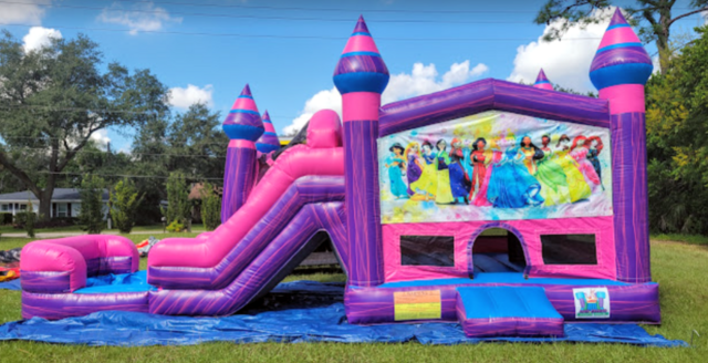 Disney Princess Overload BY Disney Princess Overload BY