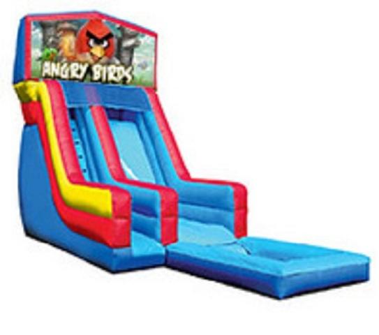 19' Angry Birds Water Slide