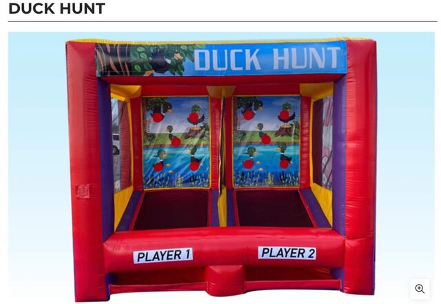 Duck Hunt inflatable Game