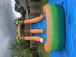 12ft Green palm tree water slide