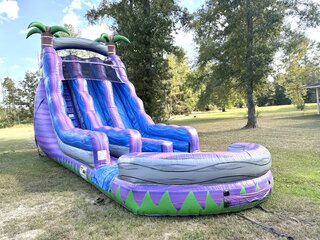 22ft Purple Crush DL