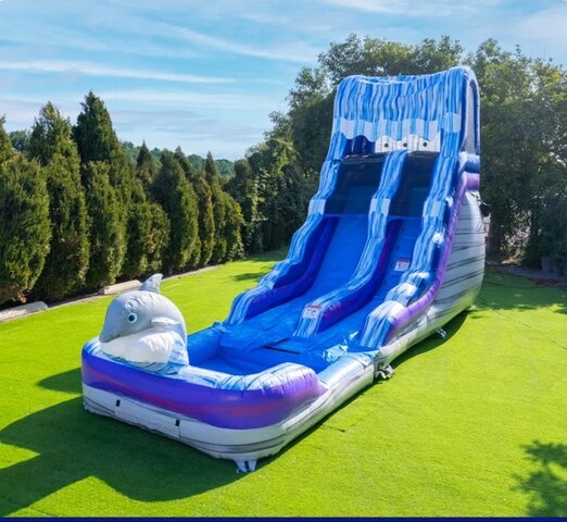 Wet Inflatable Dolphin Wet Inflatable Dolphin