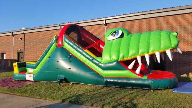 Alligator Double Lane Water Slide Alligator Double Lane Water Slide