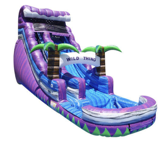 18 Feet Tall Water Slide 609WS 18 Feet Tall Water Slide 609WS