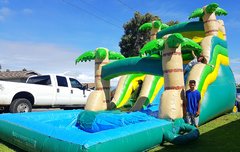 Tropical Water Slide with Pool Tropical Water Slide with Pool