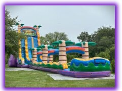 Water Slides and Dunk Tanks Water Slides and Dunk Tanks