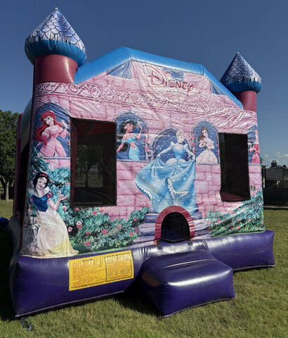 Disney Princess Combo Wet/Dry Disney Princess Combo Wet/Dry