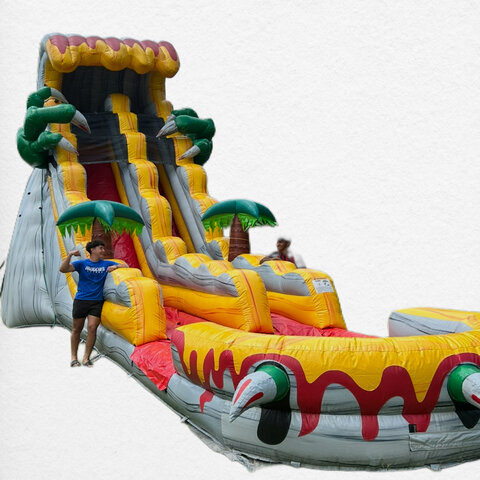 25FT Tall T-Rex Water Slide 25FT Tall T-Rex Water Slide