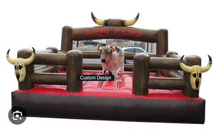 Mechanical Bull