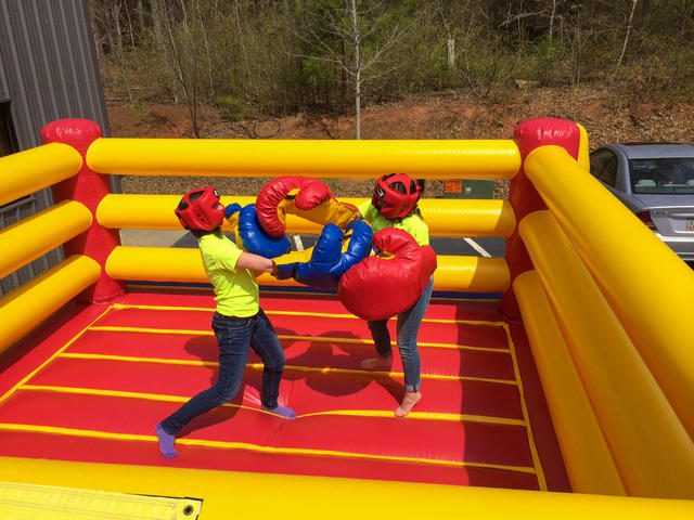 Boxing and Wrestling Ring Boxing and Wrestling Ring