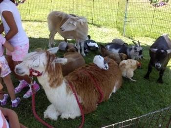 Deluxe Petting Farm Deluxe Petting Farm